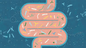 Image result for Fecal Transfer