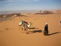 Download a free preview or high quality adobe illustrator ai, eps, pdf and high resolution jpeg versions. Pin By Mr Dog On Deserts Desert Tour Desert Travel Visit Egypt