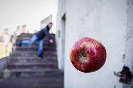 pin on inspiracao foto