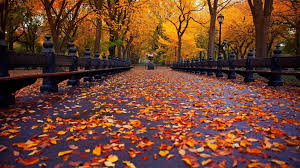 Aesthetic Autumn Wallpapers Wallpaper Cave Download 1,442 fall leaves background free vectors.