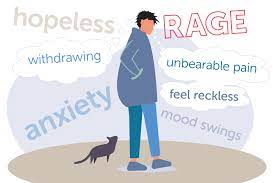 Desperately want a solution to your nightmare and can't see any other way out. Covid And Suicidal Thoughts Help For Families Boston Children S Answers