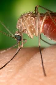 Mega snapgod the time she dedicated the entire duration