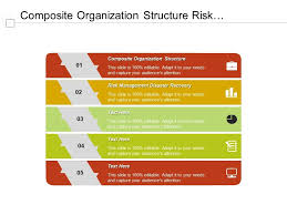 Composite Organization Structure Risk Management Disaster