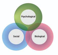 We did not find results for: Session 2 A Holistic Approach To Sport Injury 1 Sport Injury A Biopsychosocial Approach Openlearn Open University E235 2