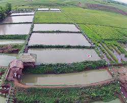 BUREAU OF FISHERIES & AQUATIC RESOURCES