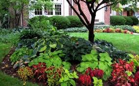 Pin By Lynne Lapin On Gardening Front Yard Landscaping Design Landscaping Around Trees Shade Garden