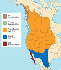 Black Bear Range Map Black Tailed Deer Range Deer Mule Deer Sitka