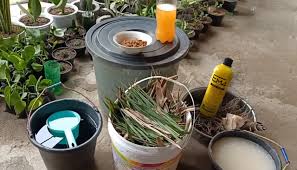 Contoh miniatur dari bambu yang mudah cara membuat kerajinan dari bambu yang satu ini sangat cocok bagi anda yang akan tetapi, melalui kesempatan ini saya akan berbagi cara membuat kreasi bingkai dari. Get Cara Membuat Kandang Ayam Dari Bambu Gif Blog Garuda Cyber