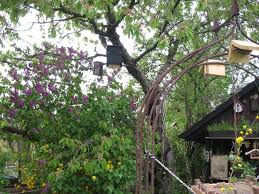 Lehmwand Naturgarten Kleiner Garten Lehmwand