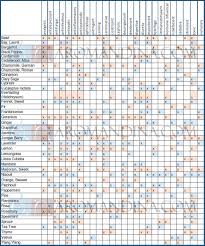 an extremely useful essential oil chart listing out