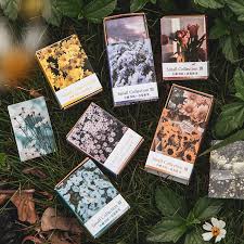 Check spelling or type a new query. 100 Pcs Retro Book Vintage Plant Flowers Kraft Paper Scrapbooking Card Making Journaling Project Diy Diary Decoration Lomo Cards Mega Offer 8dcdca Goteborgsaventyrscenter