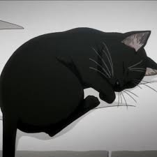 Download transparent anime cat png for free on pngkey.com. Betty Gangsta Wiki Fandom