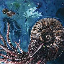 In 1800s england, acclaimed but unrecognized fossil hunter mary anning (kate winslet) works alone on the rugged southern coastline. Ammonite Celophys