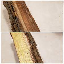 Finding many pitfalls with traditional firewood suppliers, we created our own cleaner way to get the wood we wanted. Is This Black Locust Looks Like Walnut But When Resplit It S A Yellow Green Firewood