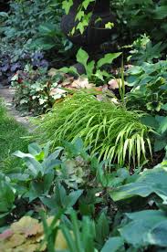 Send fresh flowers from local oakville florists today! Three Dogs In A Garden A Shade Garden In Oakville Ontario Shade Garden Shade Garden Design Garden Design