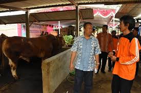 We did not find results for: Kelompok Tani Tentrem Maju Lomba Nasional Ternak Sapi Pemerintah Provinsi Jawa Tengah