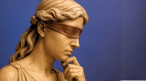 Image result for Justicia francoiseana