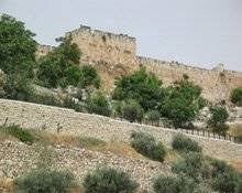 تقارير القدس اكسترا المصورة المزيد. Ø§Ù„Ù‚Ø¯Ø³ Ø§Ù„Ø¢Ù† ÙˆØ­ØªÙ‰ Ø¹Ø§Ù… 2020 Ù…ÙˆÙ‚Ø¹ Ù…Ù‚Ø§Ù„Ø§Øª Ø¥Ø³Ù„Ø§Ù… ÙˆÙŠØ¨
