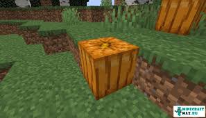 Pumpkin pie is an upcoming food item obtained from pumpkins. Pumpkin Pie Cooked Food How To Craft In Minecraft