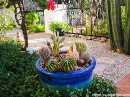 Source high quality products in hundreds of categories wholesale direct from china. Take A Tour Of My Container Plants In The Desert Joy Us Garden