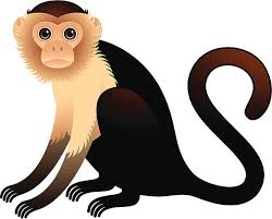 echoes From the Neighborhood