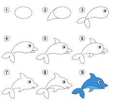 Photoshop, illustator, indesign… en facilitant surtout la réaliser des croquis et vos premiers esquisses du projet. Apprendre A Dessiner Un Dauphin