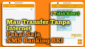 Cara mudah dan tidak perlu keluar rumah dengan menggunakan sms banking. Cara Transfer Sms Banking Bri Youtube