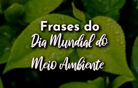Ajude a limpar um parque público. Com Amor Frases On Twitter Frases Do Dia Mundial Do Meio Ambiente Acesse Https T Co Hl9csdz3sm
