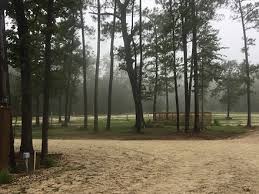 We are between huntsville and new waverly, tx on fm 2296, surrounded by the sam houston national forest. 12 Oaks Rv Park Huntsville Texas Rv Parks Mobilerving Com