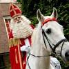 Teken een paardenhoofd op de witte kant. 1