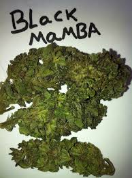 Black Mamba Cannabis All Mamba Cannabis Strains