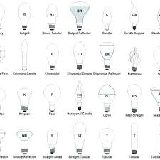 light bulb types chart golegilo club