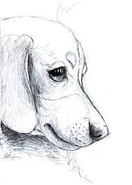 Maybe you would like to learn more about one of these? 24 Easy Animal Sketch Drawing Ideas 1 Tendollarbux Com Dog Sketch Puppy Sketch Dachshund Sketch