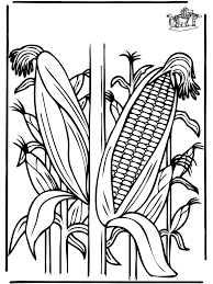 Maybe you would like to learn more about one of these? Corn Coloring Page Coloring Home