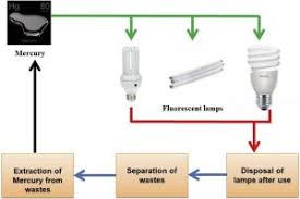 Maybe you would like to learn more about one of these? Insights Into The Extraction Of Mercury From Fluorescent Lamps A Review Sciencedirect