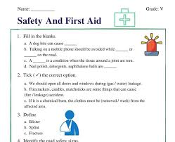 Safety worksheets can be excellent tools for kids of all ages to learn about safe and unsafe practices at home, at play and at school. Safety And First Aid Class 5 Worksheet