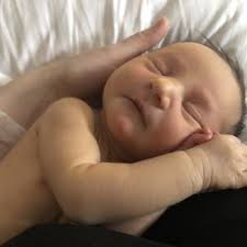 Catenacci i'm so glad o chose this place. Advanced Fertility Center Of Chicago 10 Reviews Fertility 4920 N Central Ave Chicago Il Phone Number