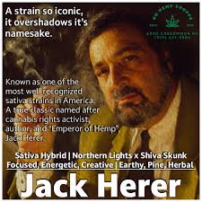 Experience the Best of Downtown Raleigh at Our Hemp Shoppe