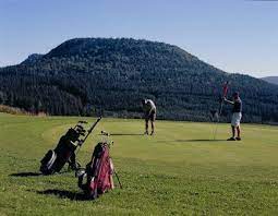 Near cologne needed a new website to meet the needs of two target groups. Golfplatz Hausen Am Tann Schwaebische Alb