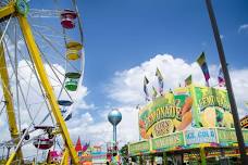 Day at the Fair