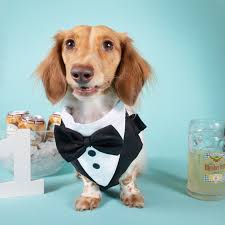 Martha Boykin Photography