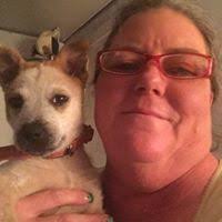 Learn How-To Cro-Hook Crochet: Cro-Hook Crochet: Reversible Dishcloth Sets  by Vicki Becker