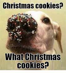 Are these the best christmas memes ever? Christmas Cookie Memes