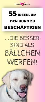 55 Beschaftigungsideen Fur Hunde Die Besser Sind Als Ballchen Werfen Hunde Hundebeschaftigung Spass Hund