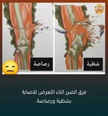 صور مكتوب عليها حقائق مدهشة Funny Pictures Words Pics