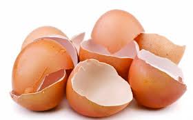 Contoh baja organik asli termasuklah pupuk kandang,sluri,kompos cacing,gambut,rumpai laut,kumbahan dan guano. Cara Menyediakan Baja Organik Buatan Sendiri Hamparan Seni