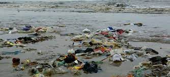 Oceanos katinas toques mp3 para android. Em Cinco Anos Timor Leste Quer Baixar Producao De Lixo Plastico No Oceano Onu News