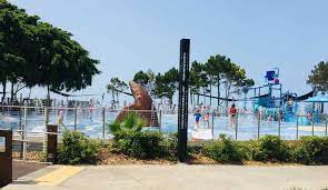 For a brilliant option of what to do around hervey bay, why not head out for a day at the great. Top 30 Things To Do In Hervey Bay And Free Things To Do