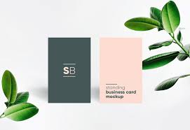 Download 30 Vertical Business Card Mockups For Your Presentation Decolore Net