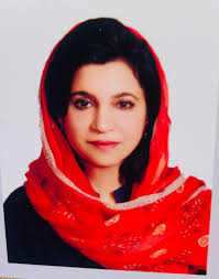 Muhammad Adeel Ashraf (@adeel_ce)